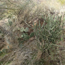 dsc00759